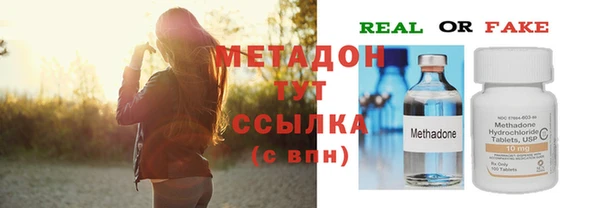 прущие грибы Абаза